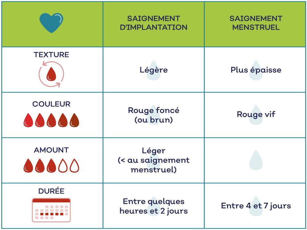 Infographie sur les saignements d’implantation