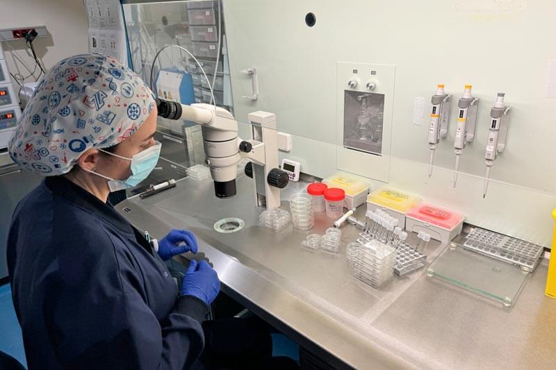 Seminograma en laboratorio de IVF-Life Alicante