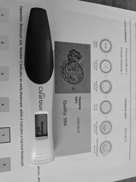 Resultado test de embarazo positivo