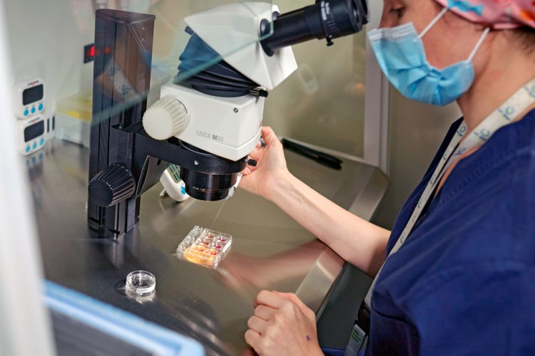 Obulutegiko erreserbaren azterketa IVF-Life laborategian