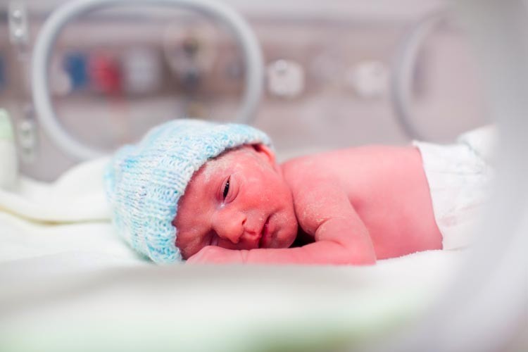 Baby born by egg donation in an incubator