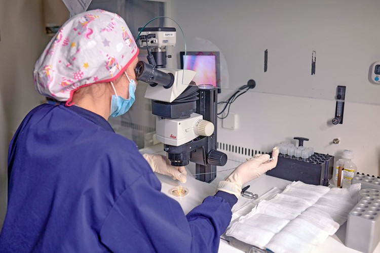 Embrióloga analizando en el laboratorio de IVF-Life