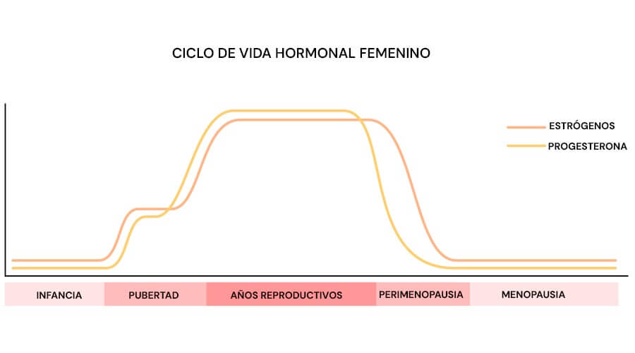 Infografía sobre el ciclo de vida hormonal femenino