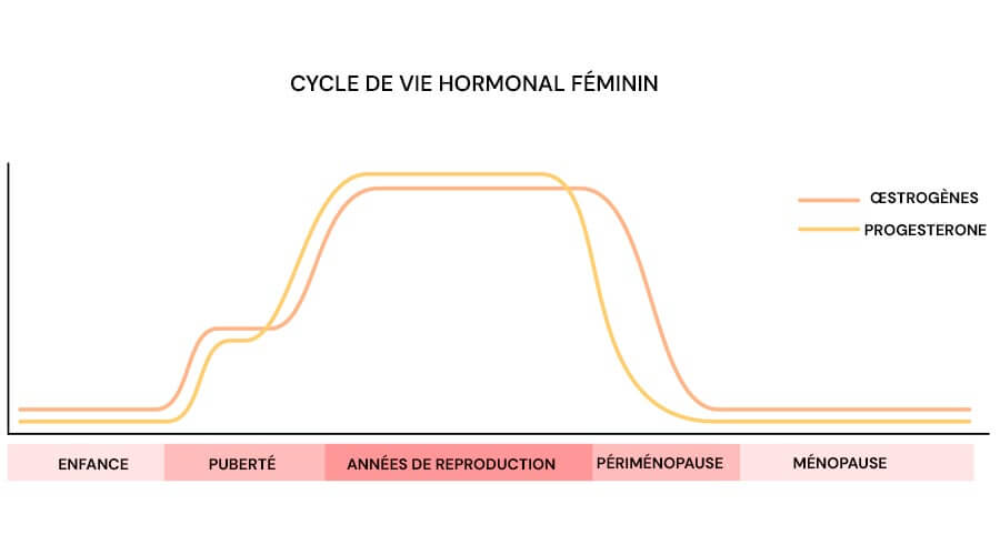 Infographie sur le cycle hormonal féminin