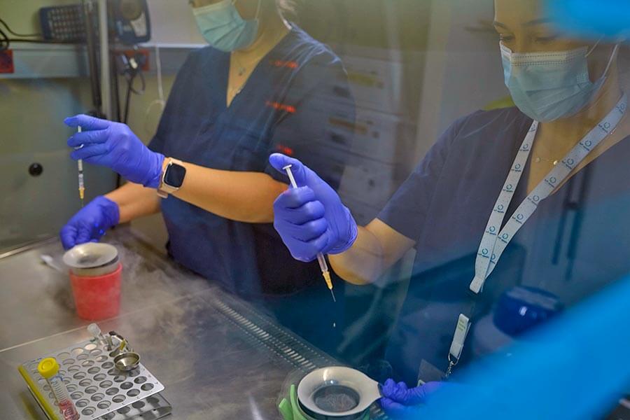 Enbriologoak IVF-Life Alicante-n