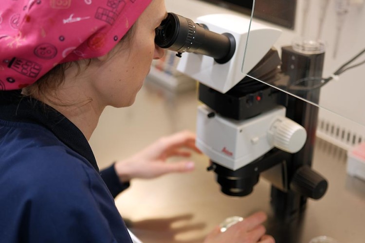 Embryologist Alessandra in the IVF-Life laboratory