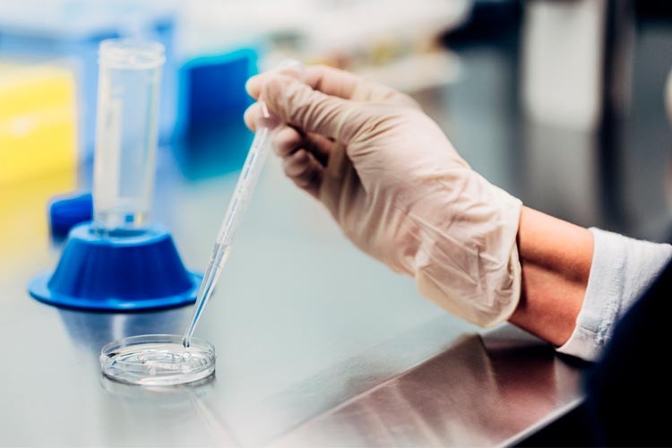Diagnostic en laboratoire du facteur masculin