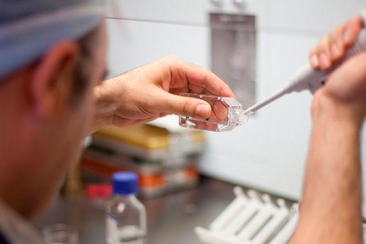 Embriologo che analizza l'infertilità immunologica