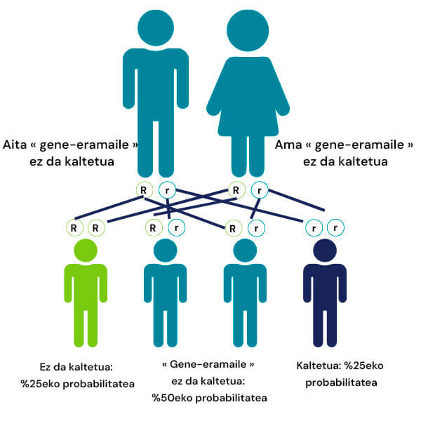 Gaixotasun genetiko autorrezesiboei buruzko infografia