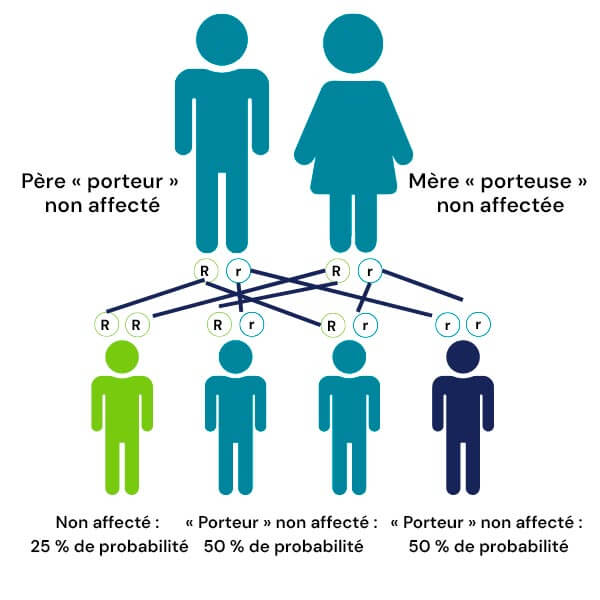 Infographie des maladies génétiques automatiques