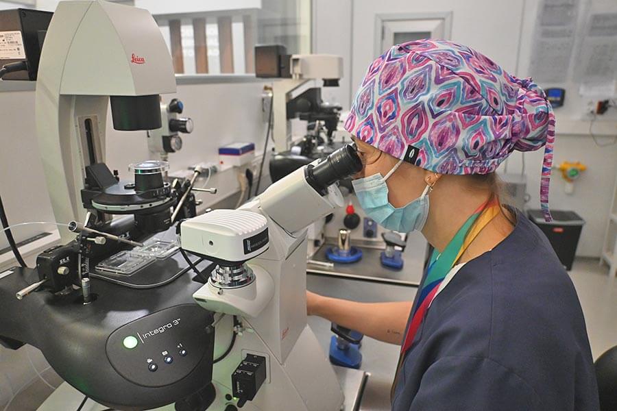 IVF-Life laborategian bateraezintasun genetikoaren azterketa