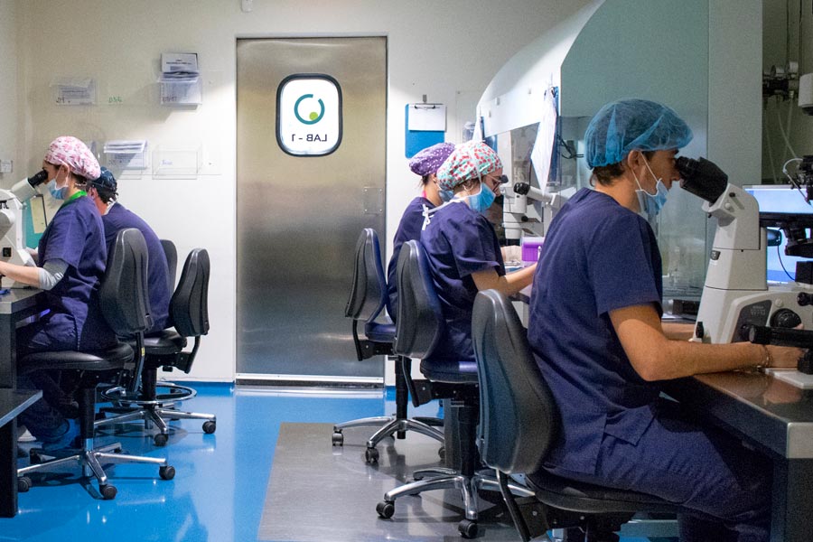 Laboratorio IVF-Life