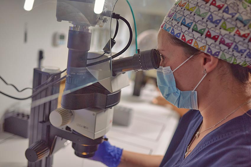 Laboratoire IVF-Life