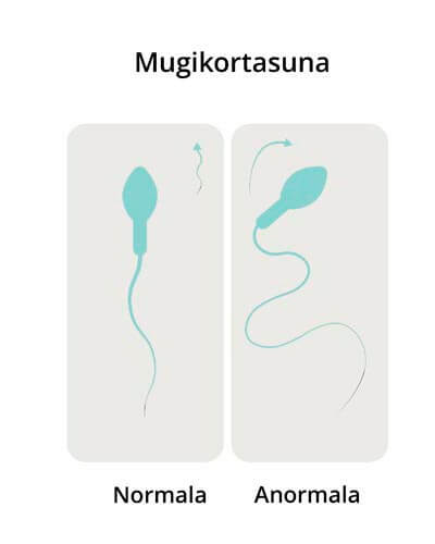 Estudio de espermatozoides