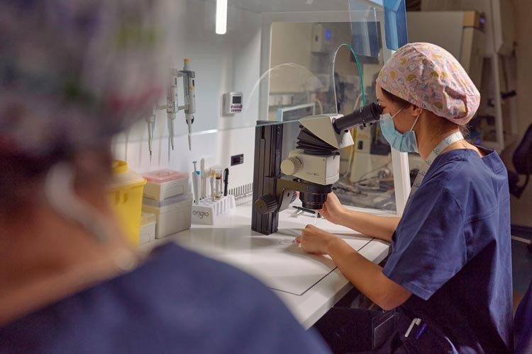 Laboratorio de IVF-Life