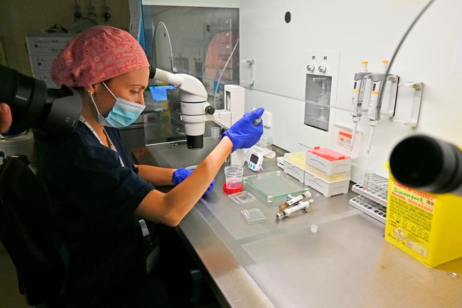 Laboratorio de IVF-Life