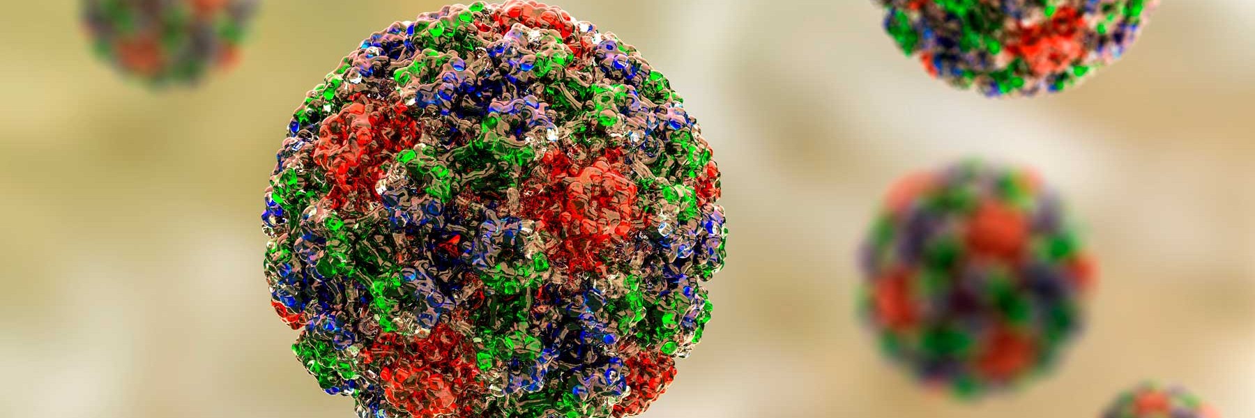 Virus del papiloma humano