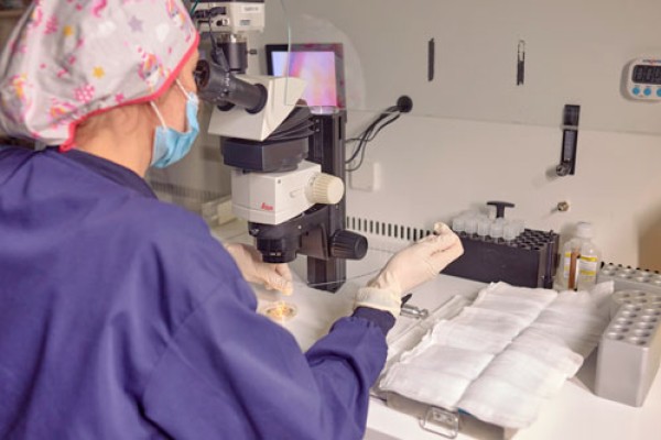 Embriologo IVF-Life che analizza campioni di doppia donazione di gameti