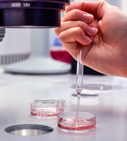 Pruebas de laboratorio para preservación de la fertilidad