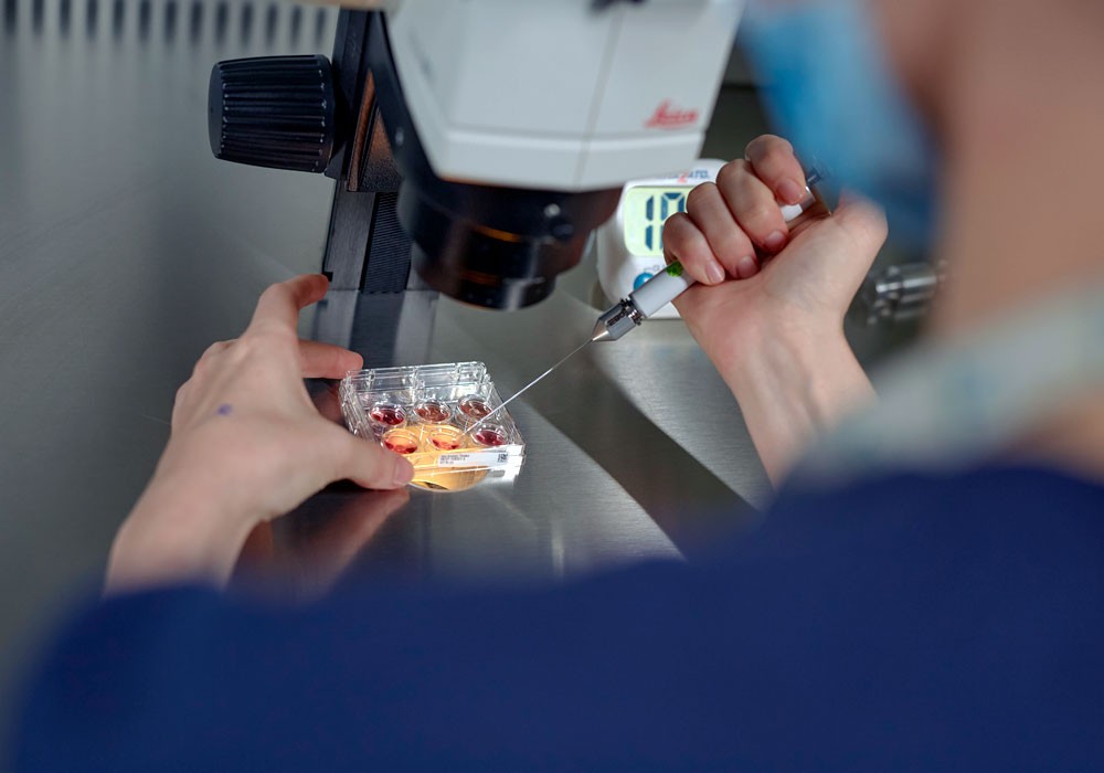 Embriólogo realizando un test de compatibilidad inmunológica