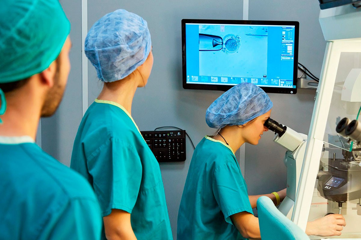 Laboratorio de IVF-Life