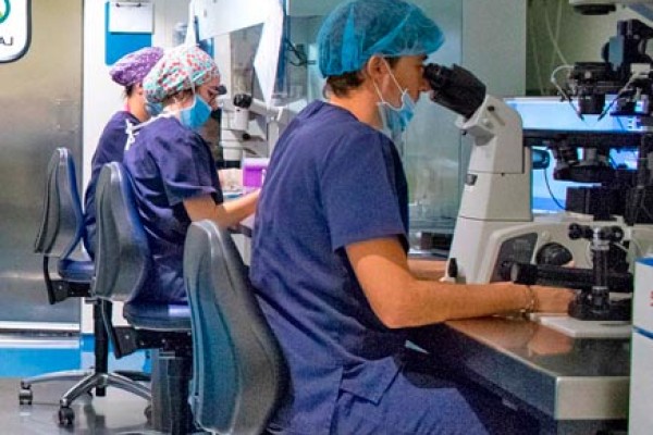 IVF-Life Laboratory