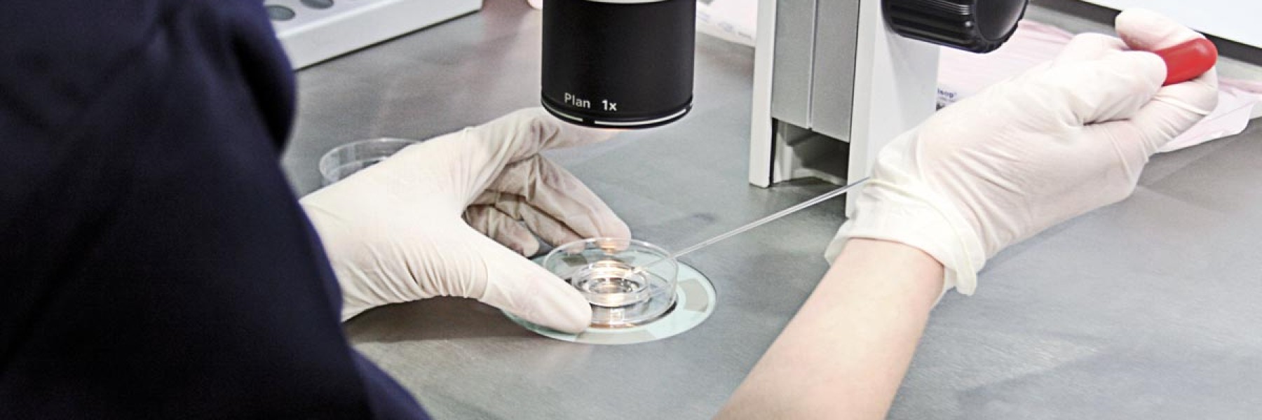 Embrióloga de IVF-Life analizando aneuploidias