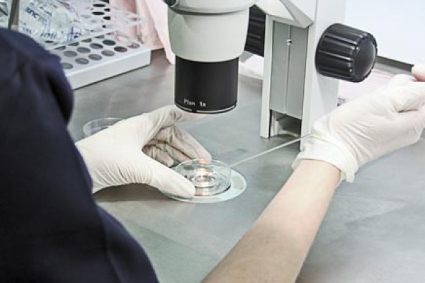 Embrióloga de IVF-Life analizando aneuploidias