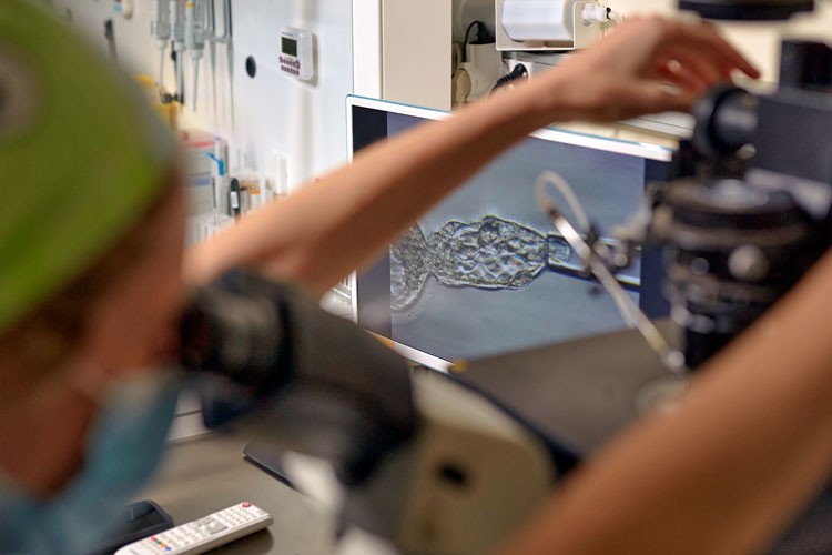 IVF-Life Laboratory