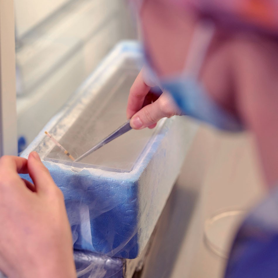 Embrióloga de IVF-Life con muestras de criopreservación