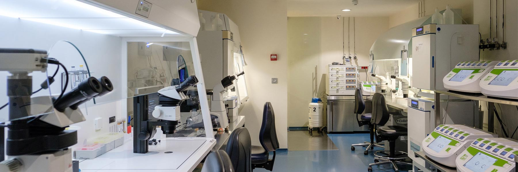 Laboratorio de IVF-Life