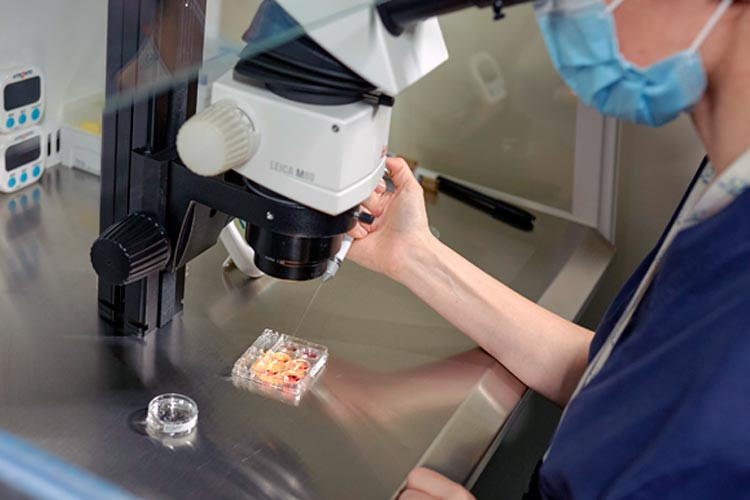 Embrióloga de IVF-Life en laboratorio