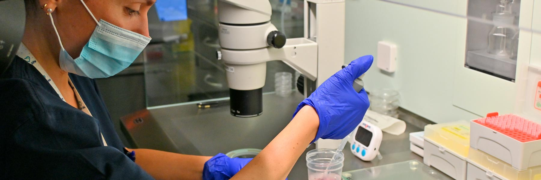 Embrióloga de IVF-Life con muestra de congelación de óvulos