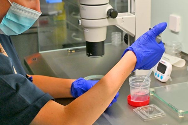 Embrióloga de IVF-Life con muestra de congelación de óvulos