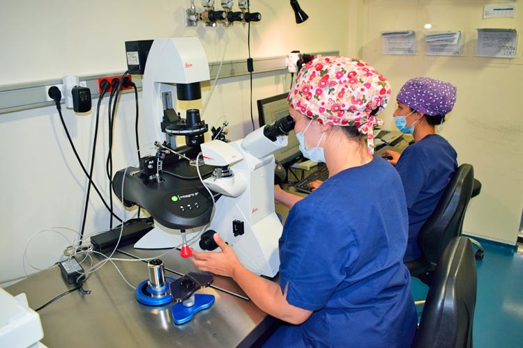 Dra. Llanos en el laboratorio de IVF-Life
