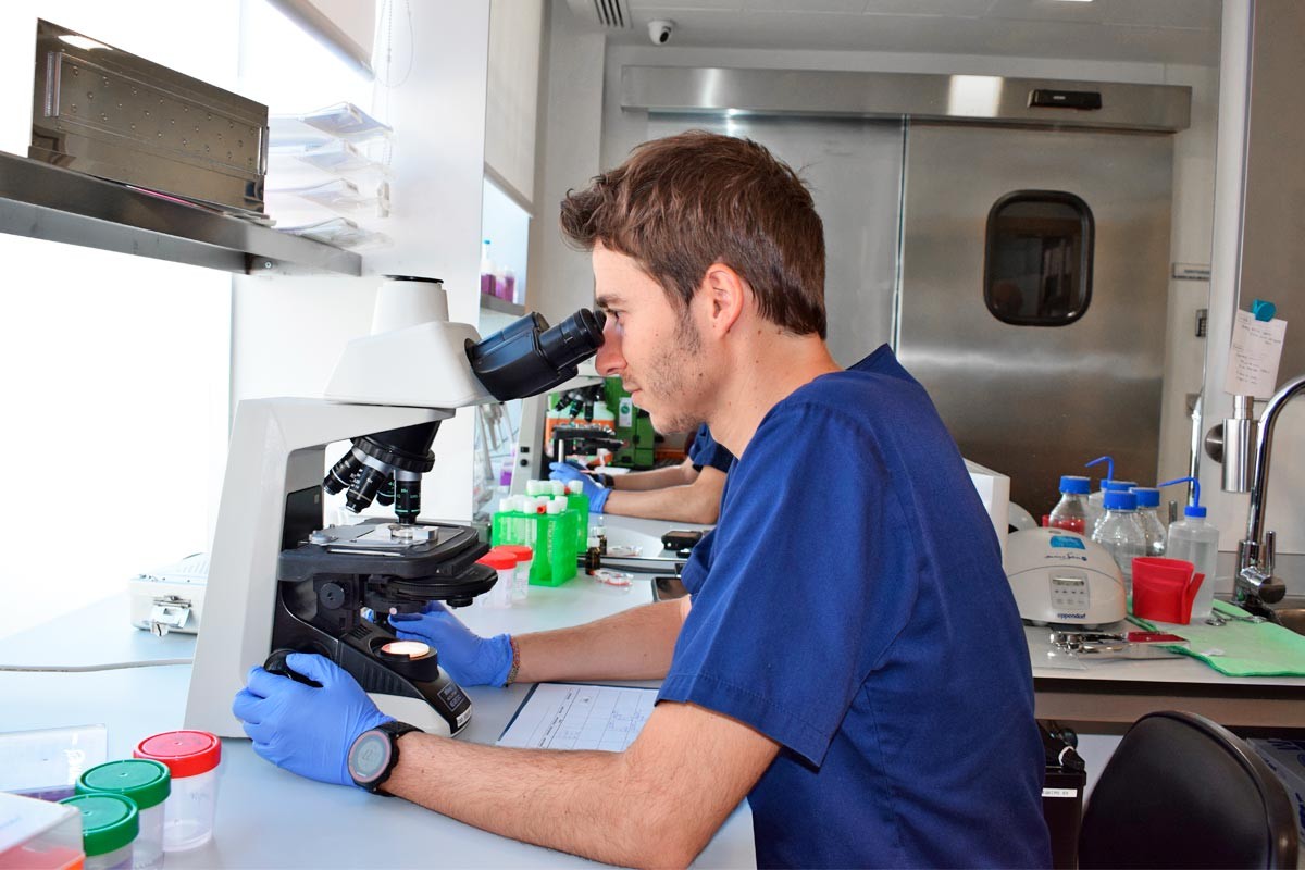 Embriólogo de IVF-Life analizando la infertilidad masculina