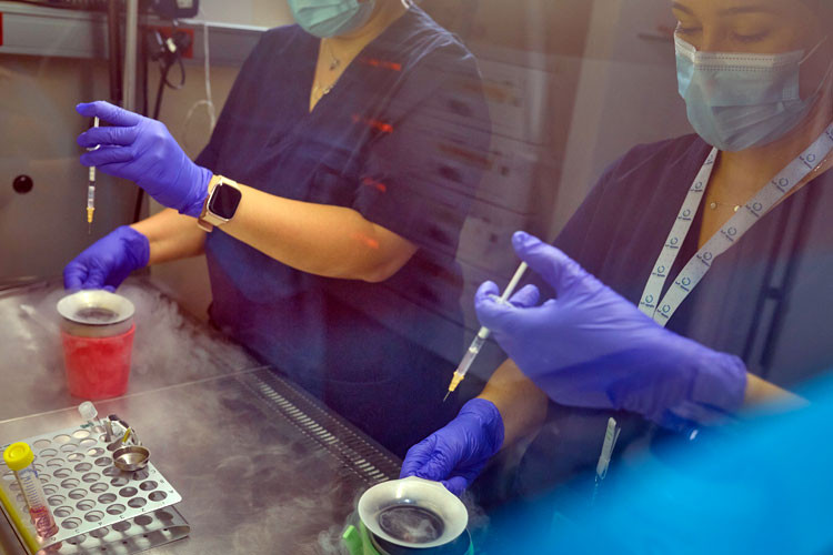 Congelación de óvulos en el laboratorio de IVF-Life