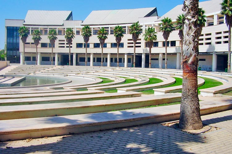 Universidad de Alicante