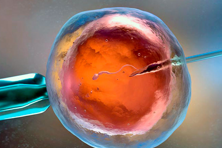 Imagen de óvulo para Congreso Eshre 38 IVF-Life