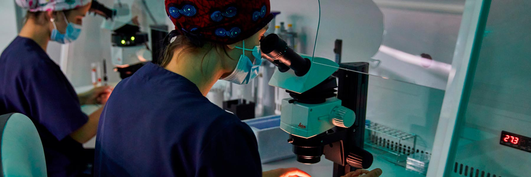 Embrióloga de IVF-Life en laboratorio