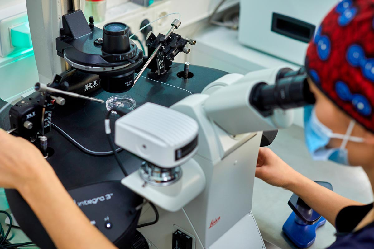 Embriólogo realizando una microinyección espermática o ISCI