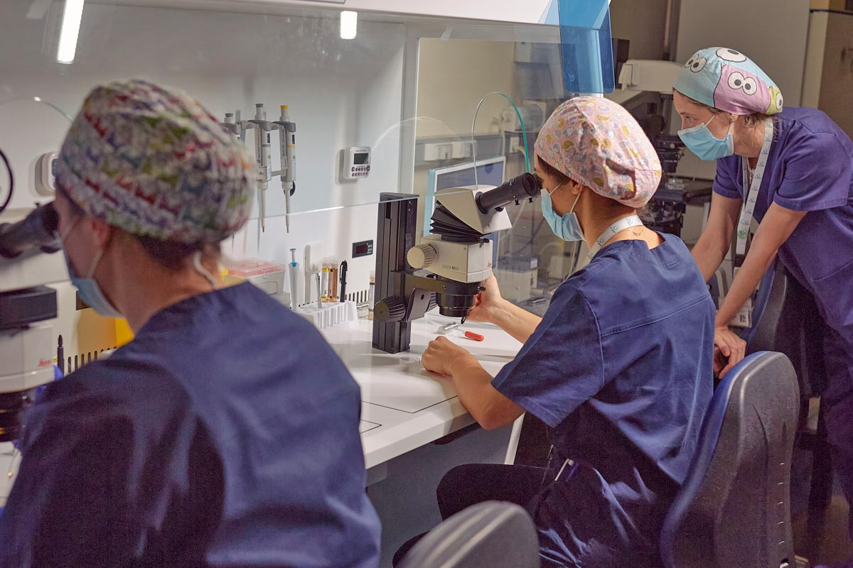Embriólogos realizando el test genético preimplantacional