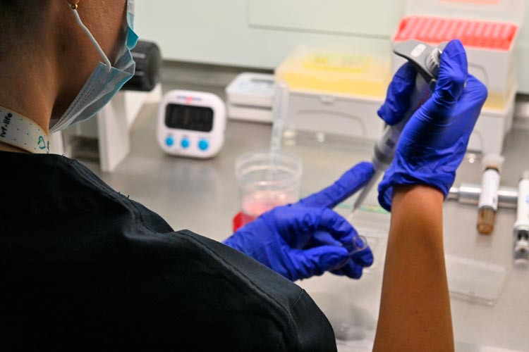 Análisis de laboratorio en IVF-Life