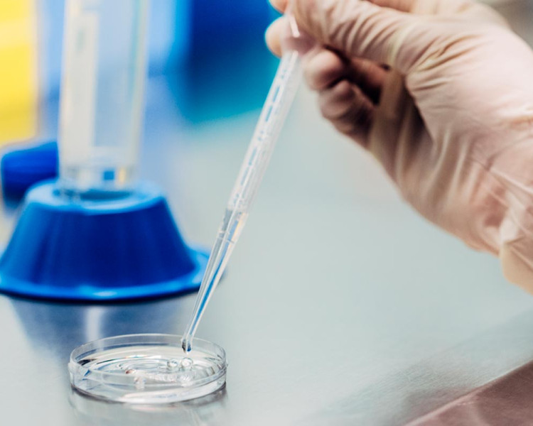 Ánálisis en el laboratorio de IVF-Life