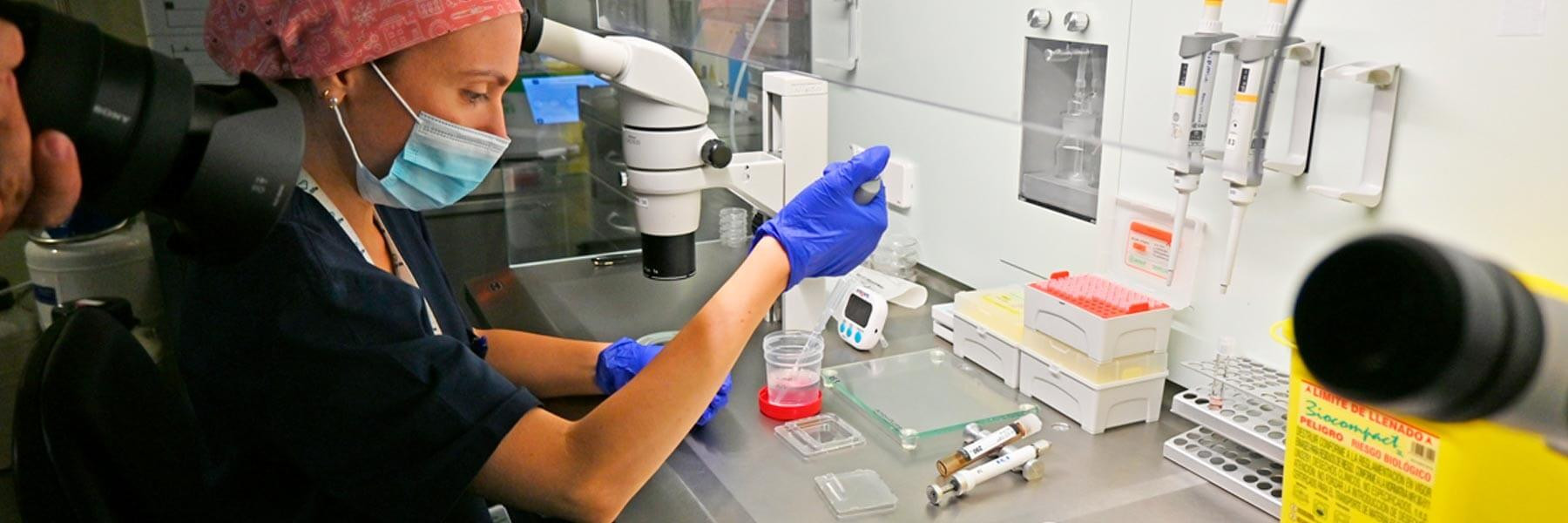 Embrióloga analizando muestras para transferencia embrionaria