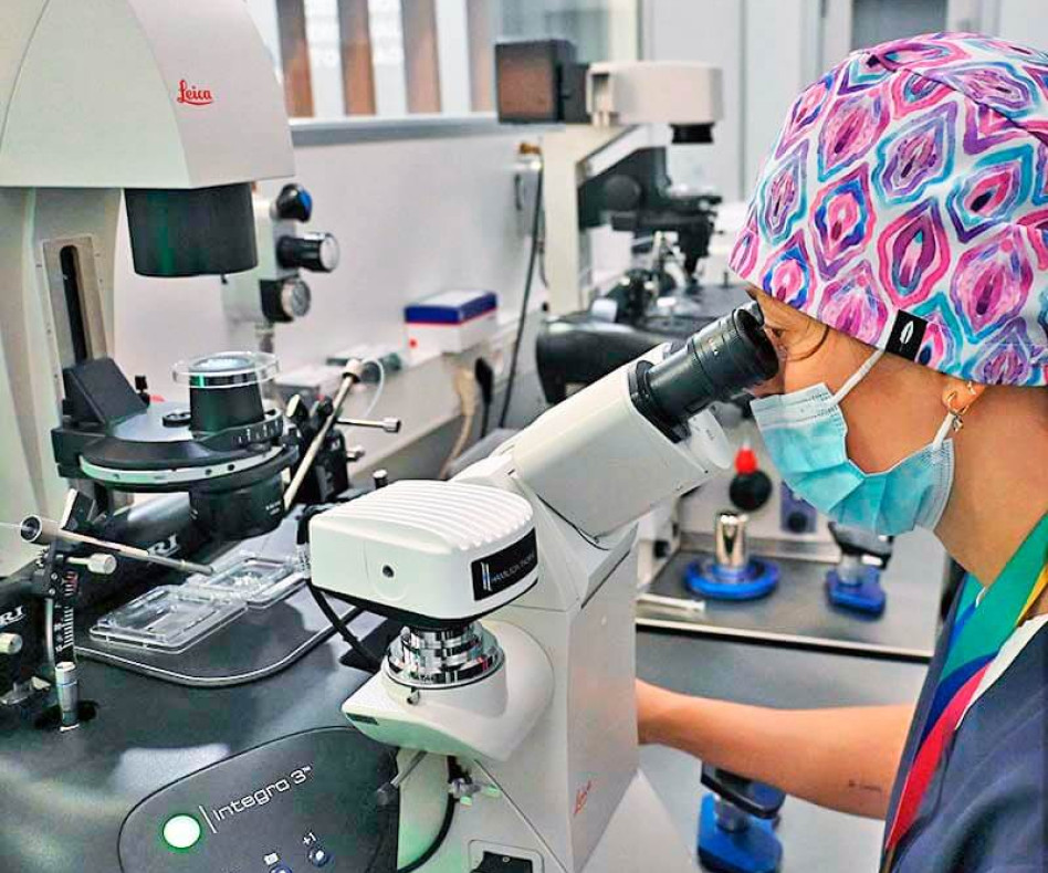 Laboratorio IVF-Life