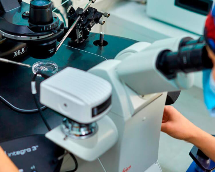 Embrióloga de IVF-Life realizando una ISCI en el laboratorio