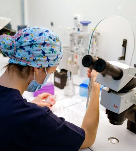In-vitro-Fertilisation im IVF-Life-Labor