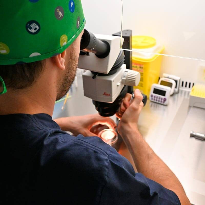 Selección de donantes en IVF-Life