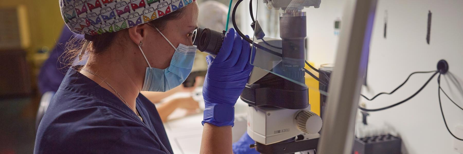 Llanos Medrano en el laboratorio de IVF-Life Alicante